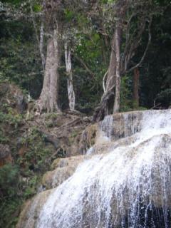 December 2008 245.jpg